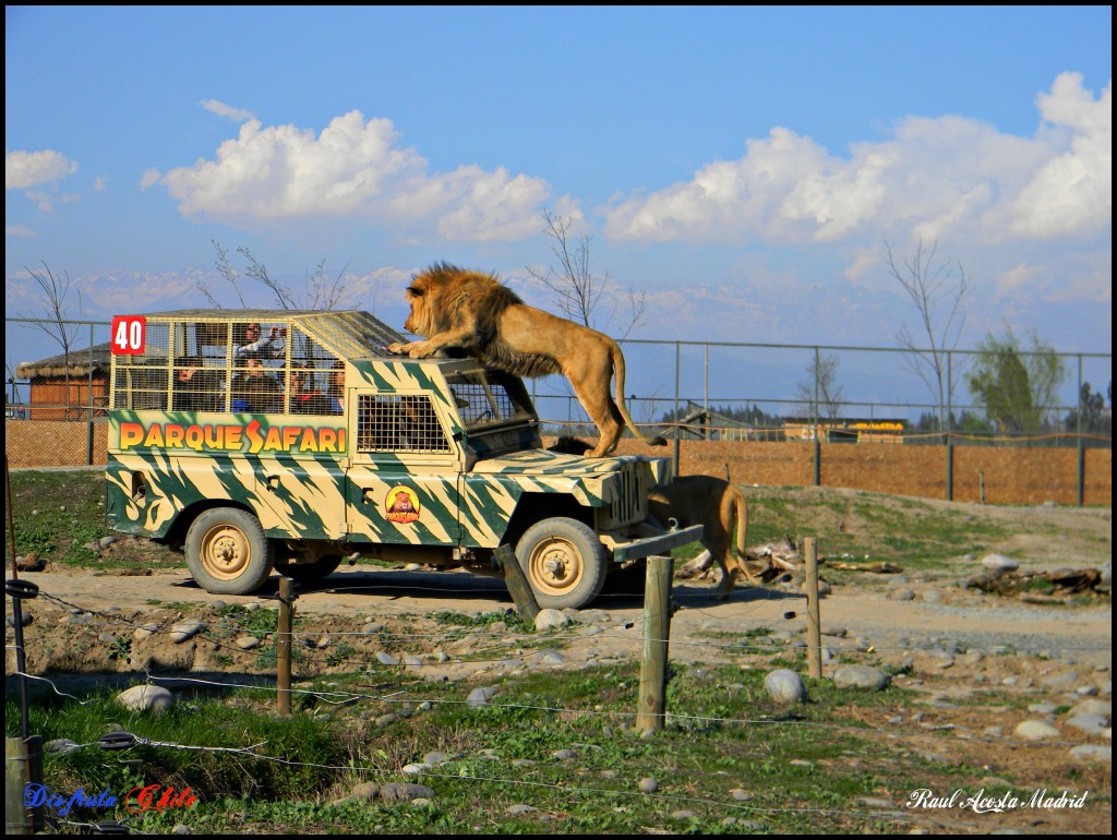 Foto de Rancagua (Libertador General Bernardo OʼHiggins), Chile
