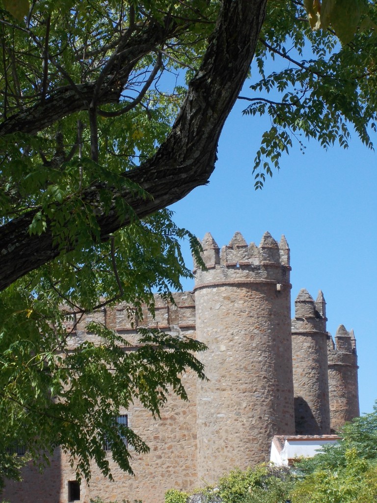 Foto: ALCAZAR - Zafra (Badajoz), España