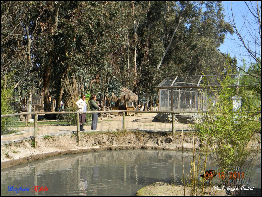 Foto de Rancagua (Libertador General Bernardo OʼHiggins), Chile