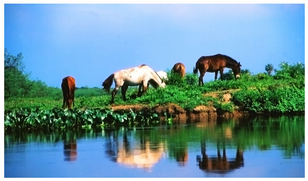 Foto de Porto Murtinho (Mato Grosso), Brasil