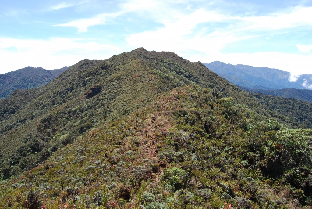 Foto de Chirripo (Cordillera de Talamanca), Costa Rica