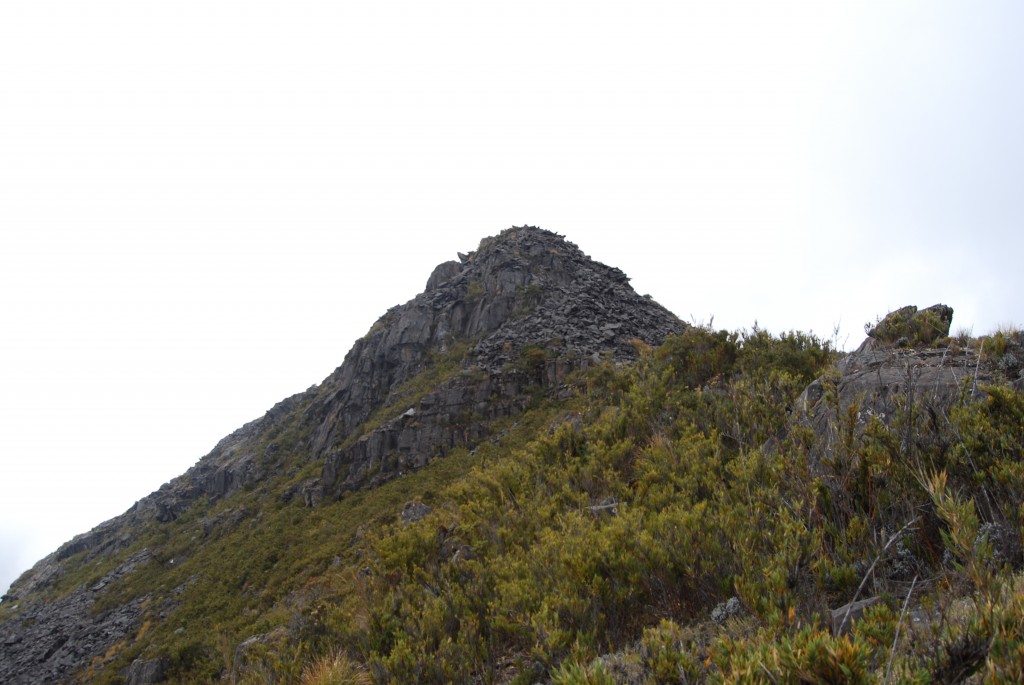 Foto de Chirripo (Cordillera de Talamanca), Costa Rica