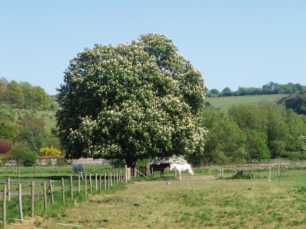 Foto de Gatehampton (England), El Reino Unido