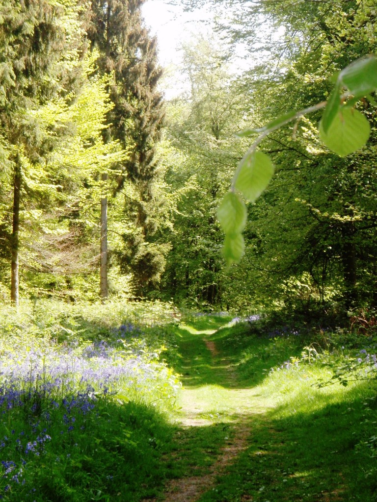 Foto de Gatehampton (England), El Reino Unido