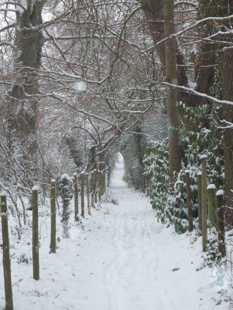 Foto de Goring (England), El Reino Unido