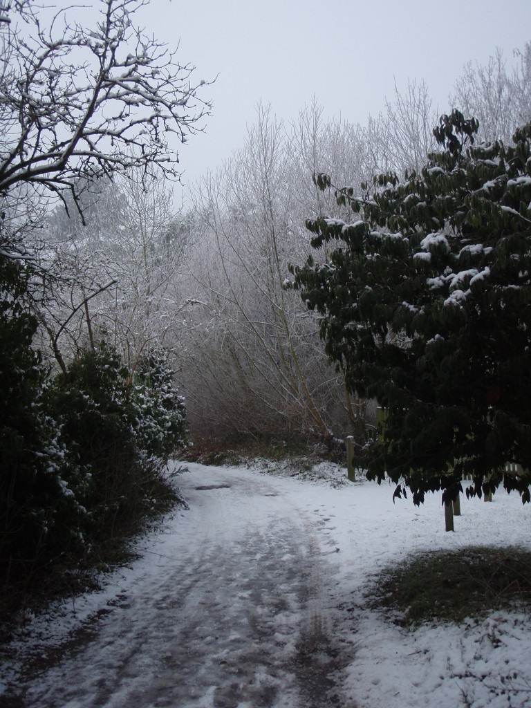 Foto de Goring (England), El Reino Unido