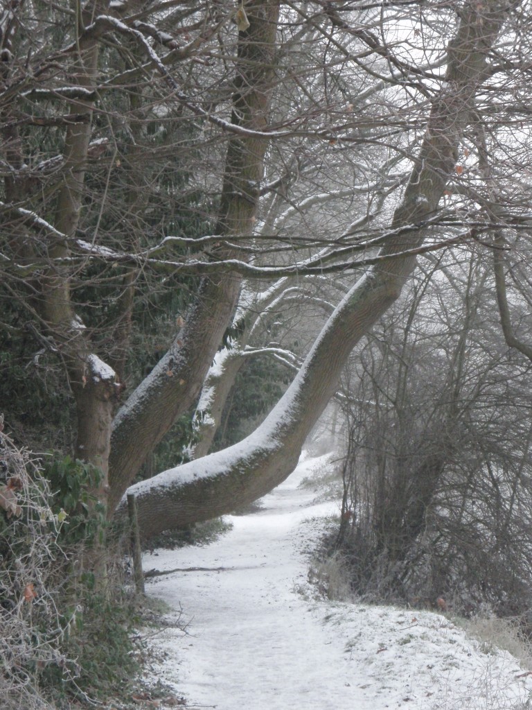 Foto de Goring (England), El Reino Unido