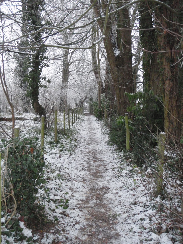 Foto de Goring (England), El Reino Unido