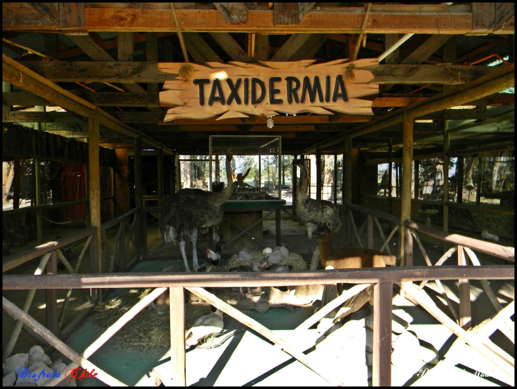Foto de Rancagua (Libertador General Bernardo OʼHiggins), Chile