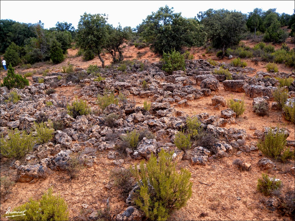 Foto: 110807-01 MONTE ALCONCHEL - Alconchel De Ariza (Zaragoza), España