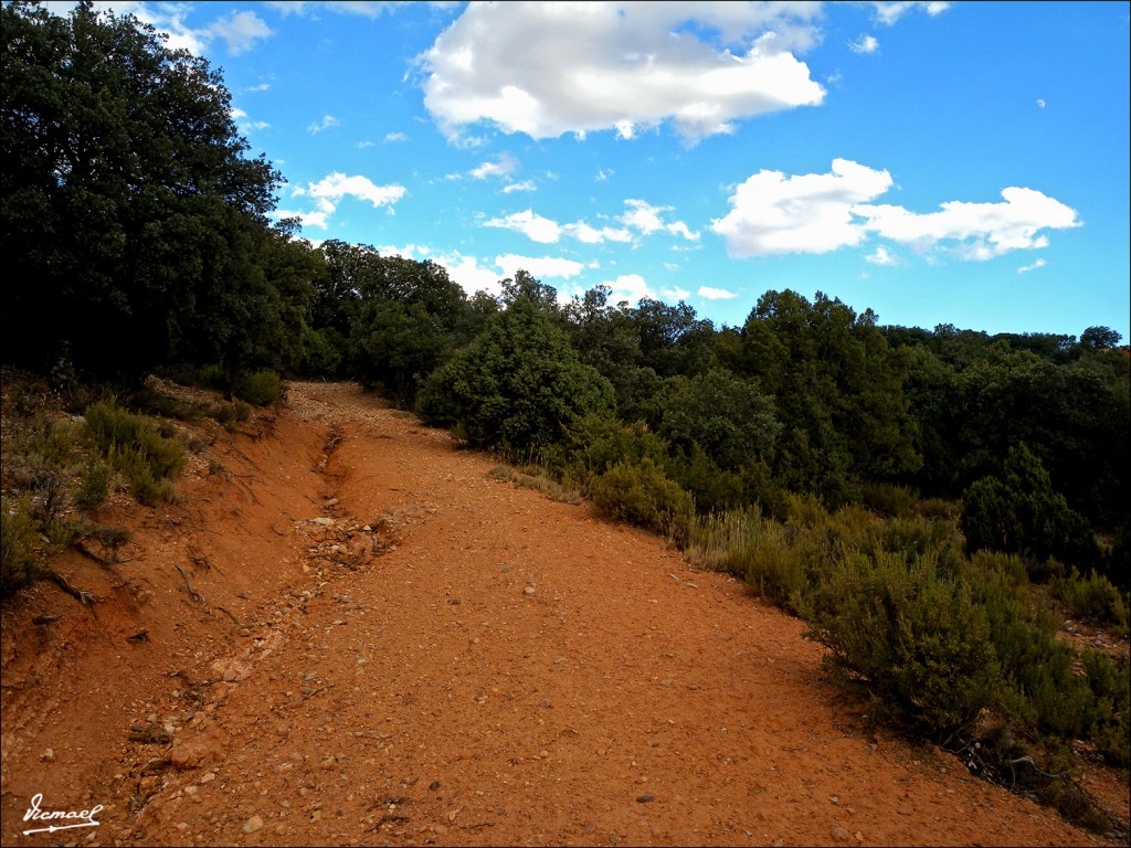 Foto: 110807-17 MONTE ALCONCHEL - Alconchel De Ariza (Zaragoza), España