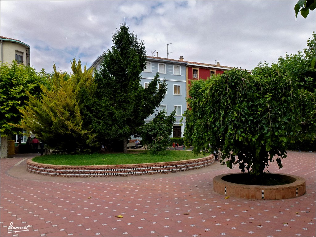 Foto: 110722-02 ARIZA - Ariza (Zaragoza), España