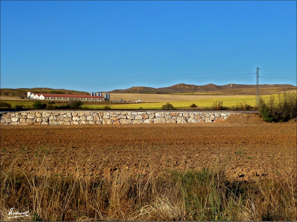 Foto: 110905-ALMAZAN - Almazan (Soria), España