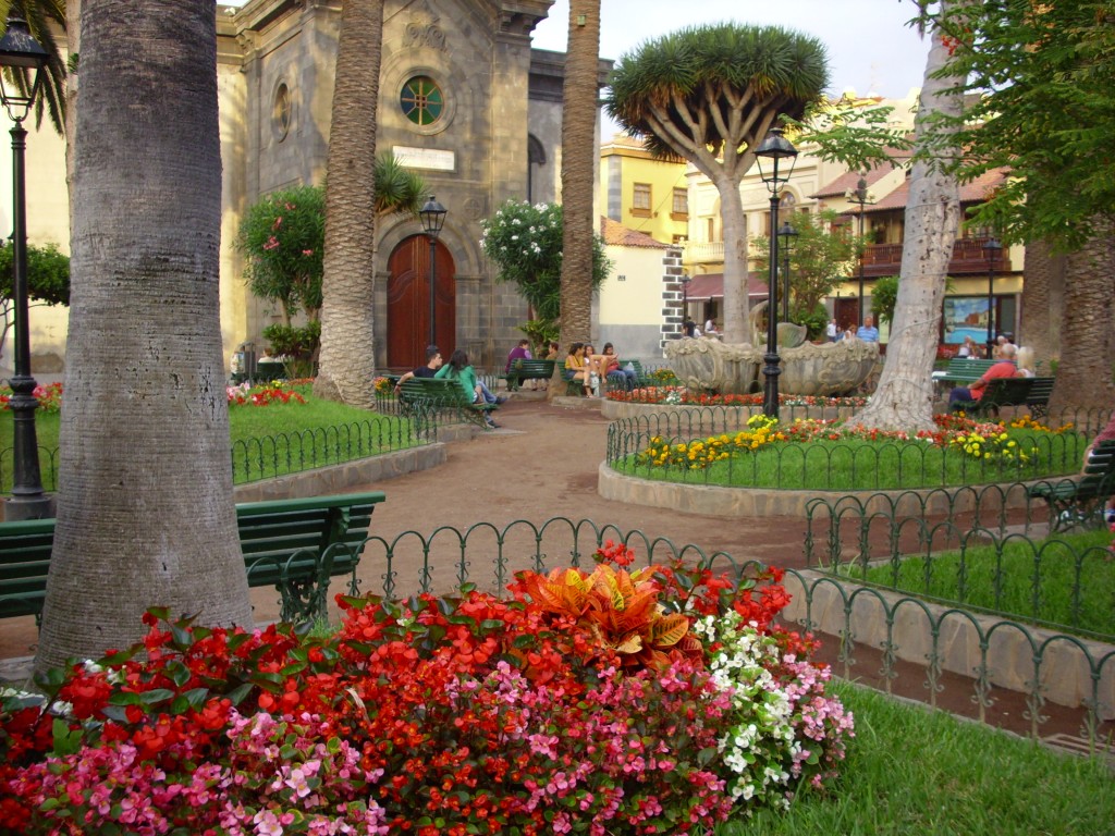 Foto: Jardin - Puerto de la cruz (Santa Cruz de Tenerife), España