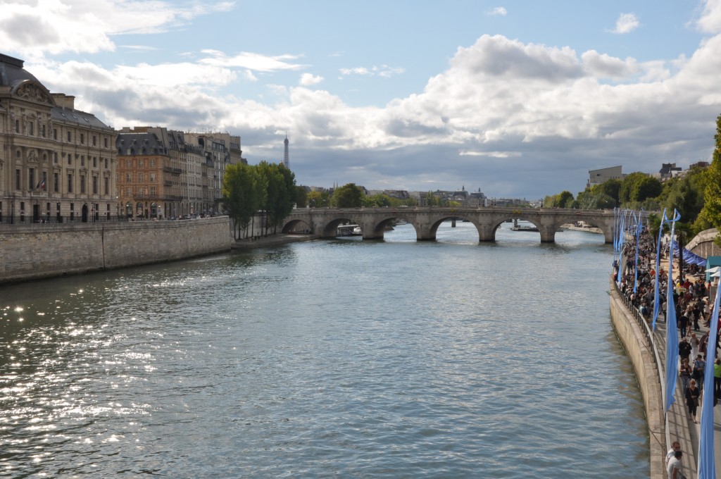 Foto: El Sena. Pont Neuf. - Paris (Île-de-France), Francia