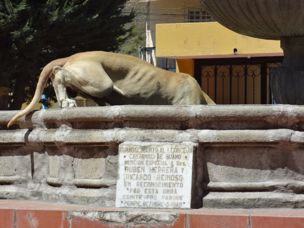 Foto: Perro - Penipe (Chimborazo), Ecuador