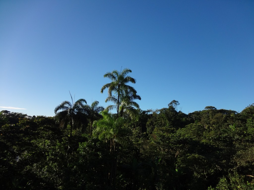 Foto: amanecer - Shell (Pastaza), Ecuador