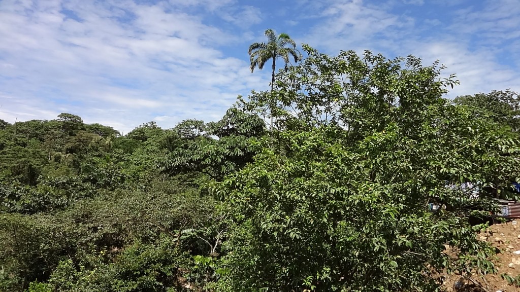 Foto de Shell (Pastaza), Ecuador