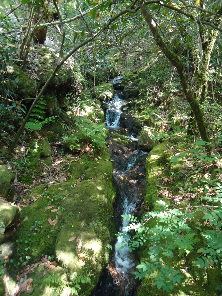 Foto de Brion (A Coruña), España
