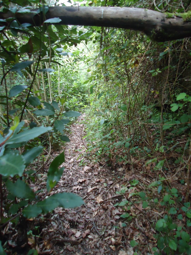 Foto de Brion (A Coruña), España