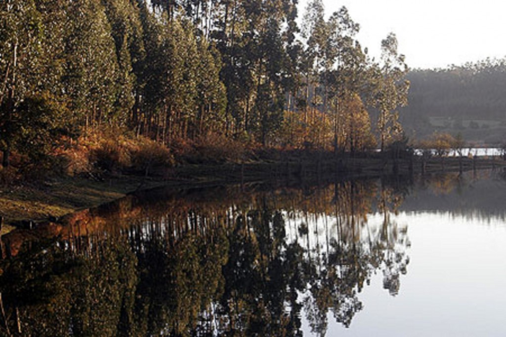 Foto de Mazaricos (A Coruña), España