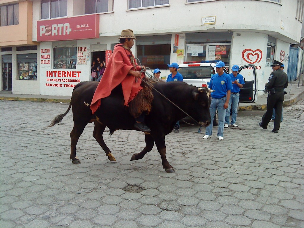 Foto: Un chagara - Machachi (Cotopaxi), Ecuador