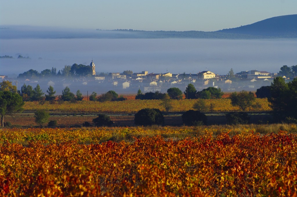 Foto: Niebla matinal - Fontanars dels Alforins (València), España