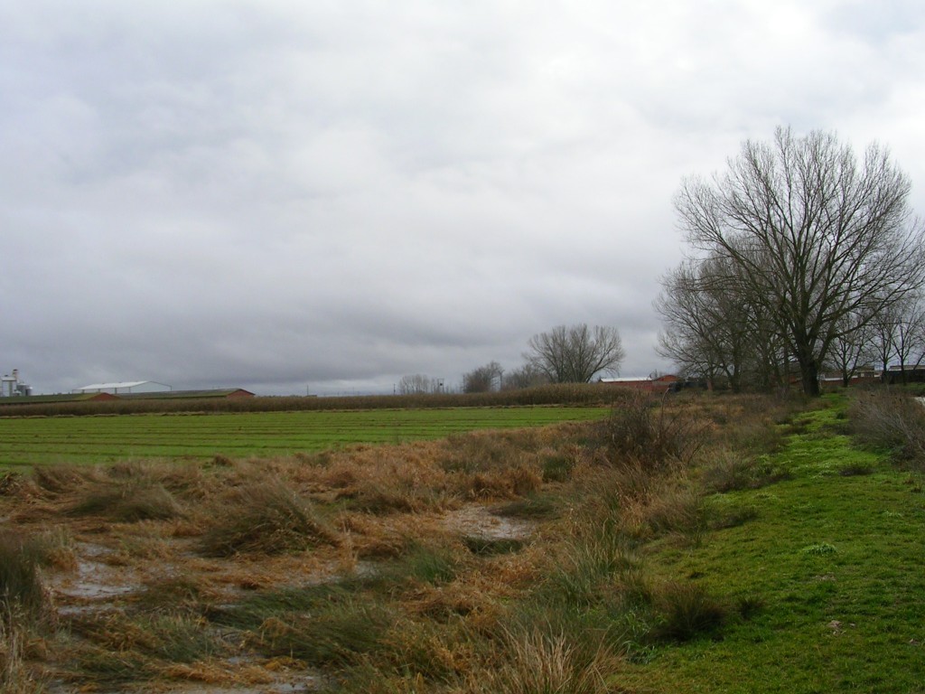 Foto: La Granja - Zuares Del Páramo (León), España