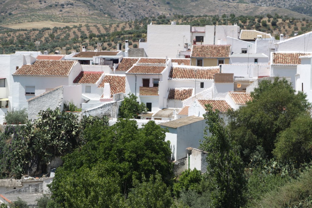Foto de El Burgo (Málaga), España