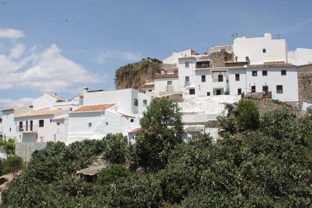 Foto de El Burgo (Málaga), España