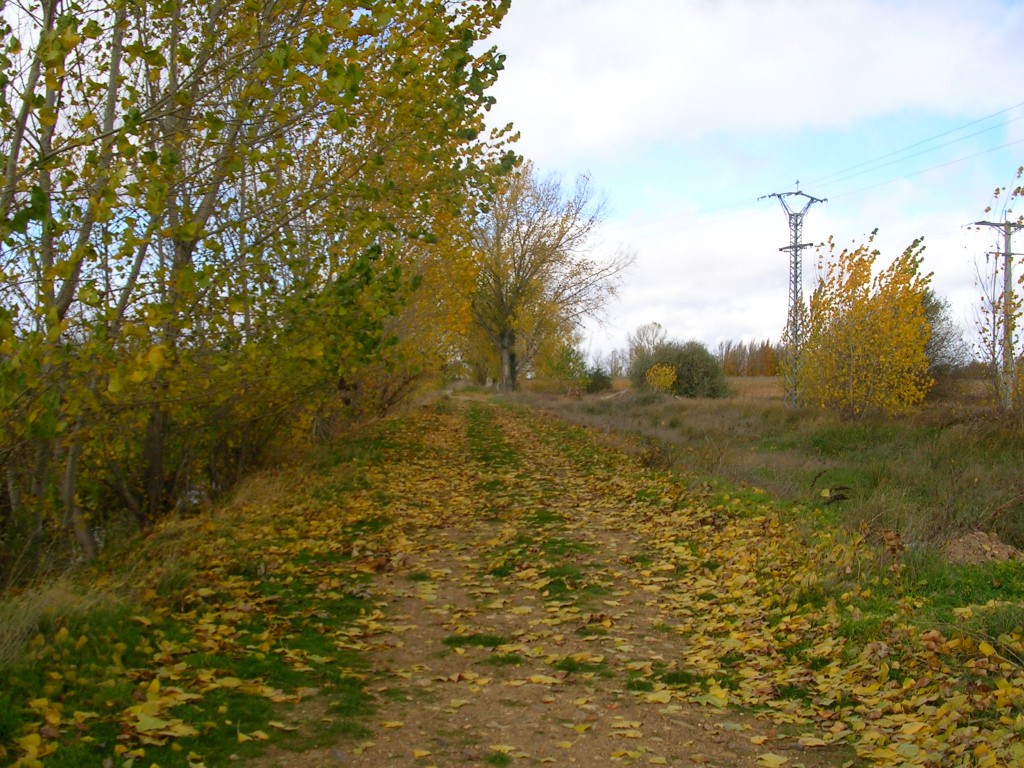 Foto: Al Lado De La Huerga - Zuares Del Páramo (León), España