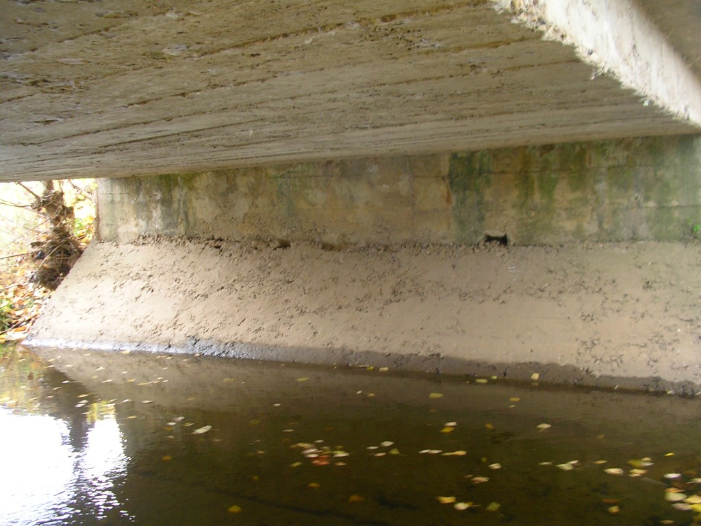 Foto: Bajo El Puente - Zuares Del Páramo (León), España