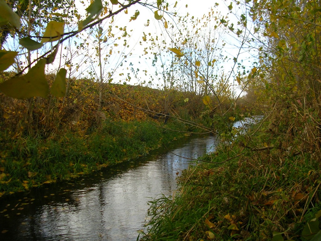 Foto: La Huerga En Otoño - Zuares Del Páramo (León), España