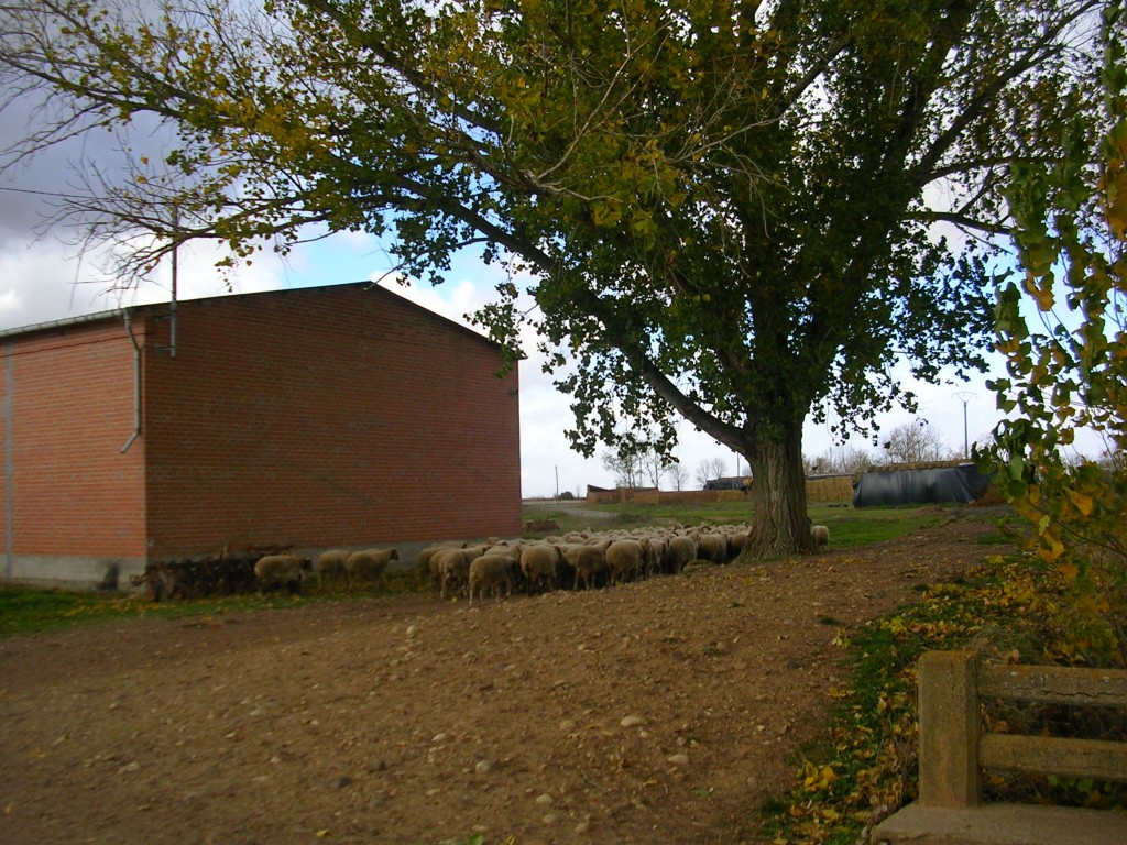 Foto: El Almacen De Manolo - Zuares Del Páramo (León), España