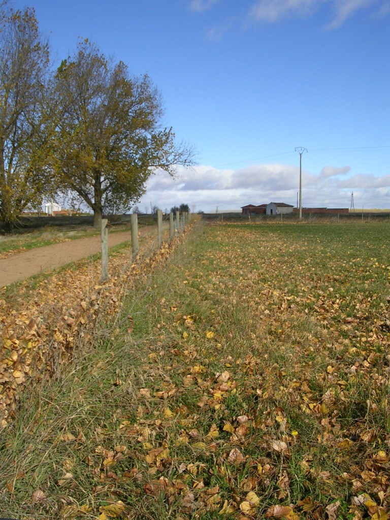 Foto: El Cementerio Al Fondo - Zuares Del Páramo (León), España