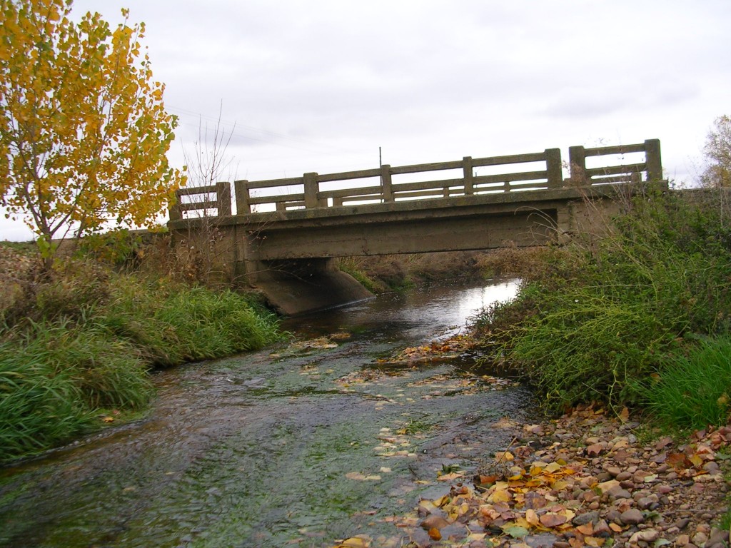 Foto: El Reguero Bajo El Puente Del Cementerio - Zuares Del Páramo (León), España