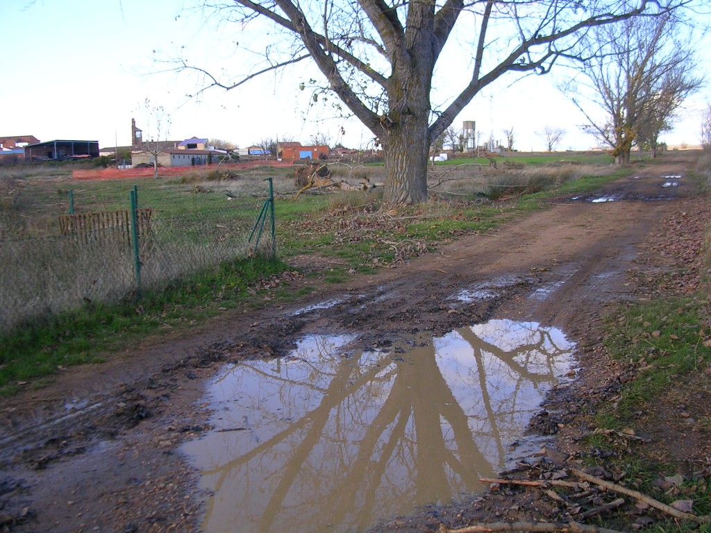 Foto: Caminando Por Los Chopos - Zuares Del Páramo (León), España