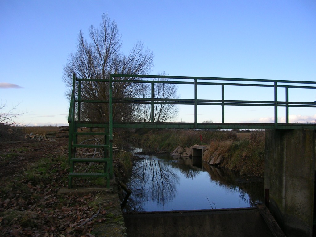 Foto: El Embalse Del Reguero - Zuares Del Páramo (León), España