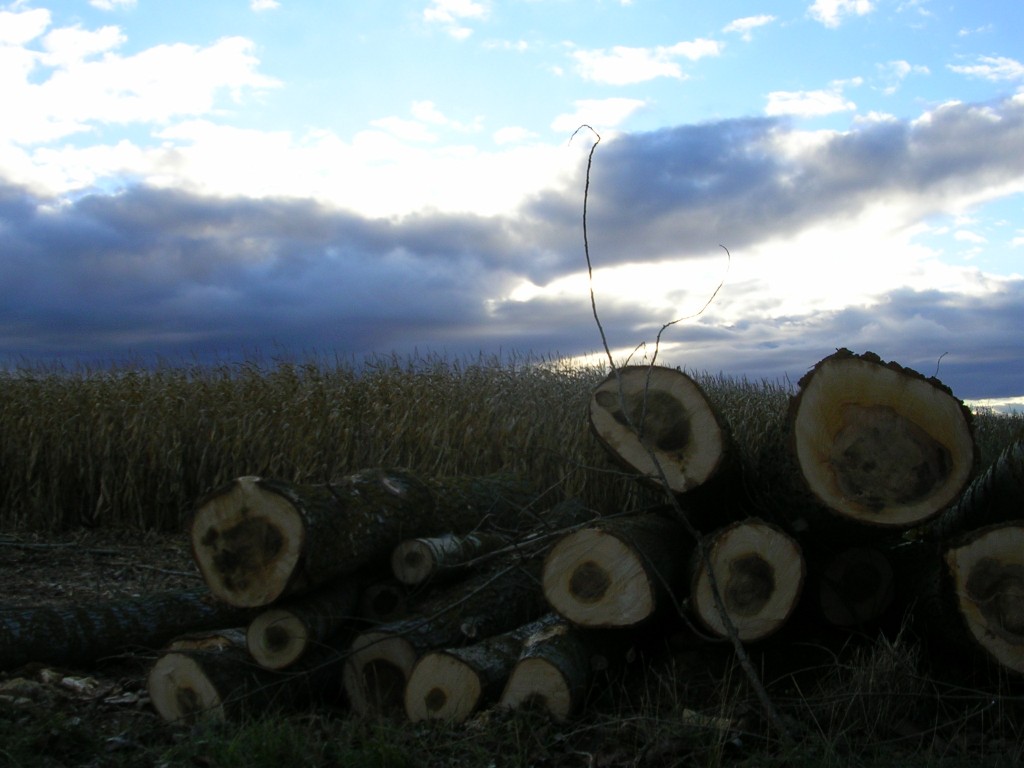 Foto de Zuares Del Páramo (León), España