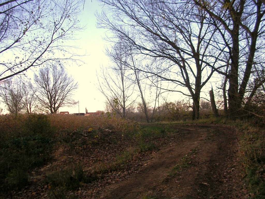 Foto: De Vuelta Al Pueblo - Zuares Del Páramo (León), España