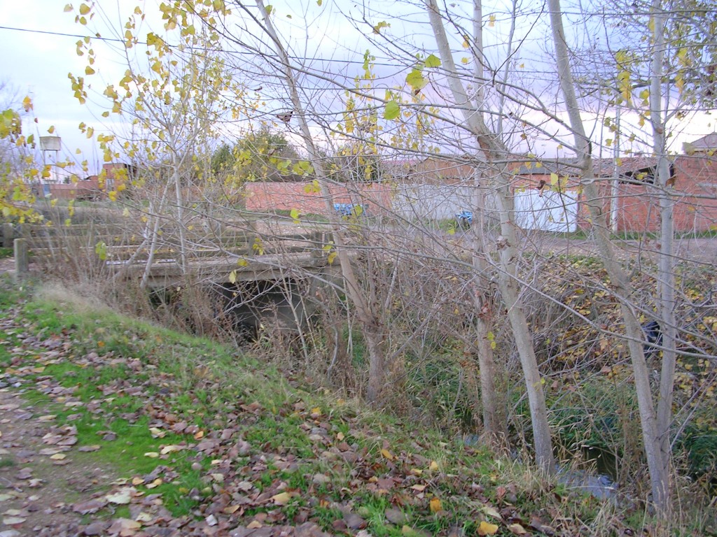 Foto: Llega El Otoño - Zuares Del Páramo (León), España