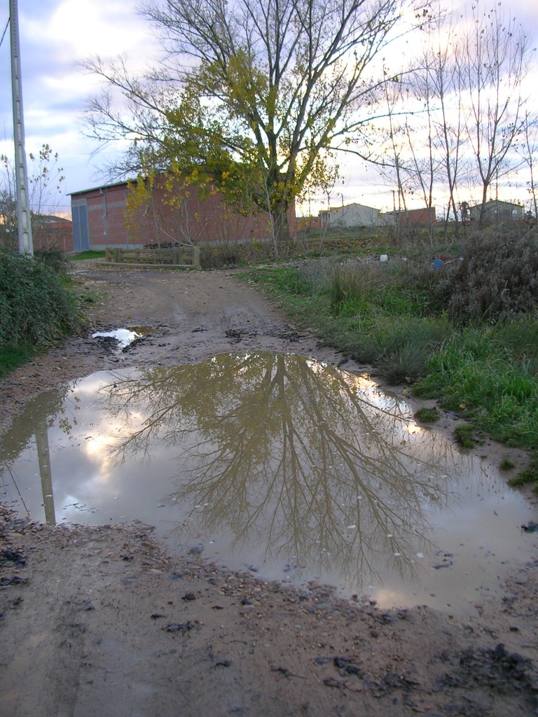 Foto: Reflejos En El Camino - Zuares Del Páramo (León), España