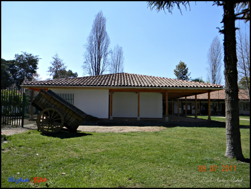 Foto de Coltauco (Libertador General Bernardo OʼHiggins), Chile