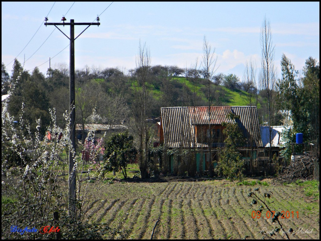 Foto de Doñihue (Libertador General Bernardo OʼHiggins), Chile
