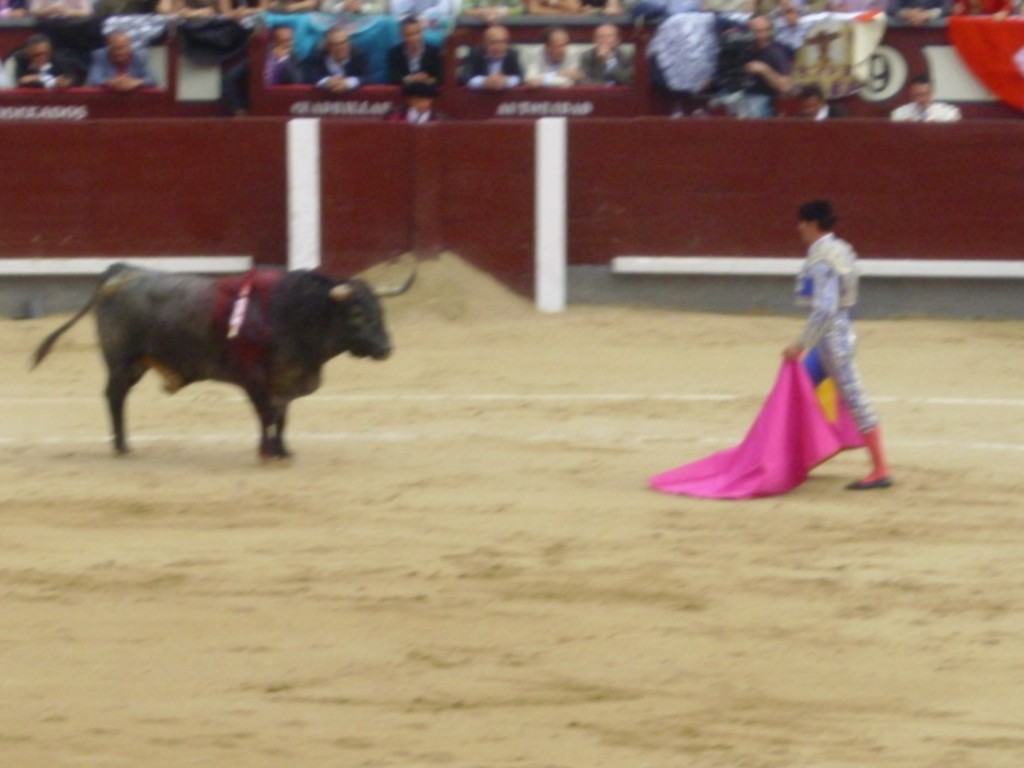 Foto de Madrid (Comunidad de Madrid), España