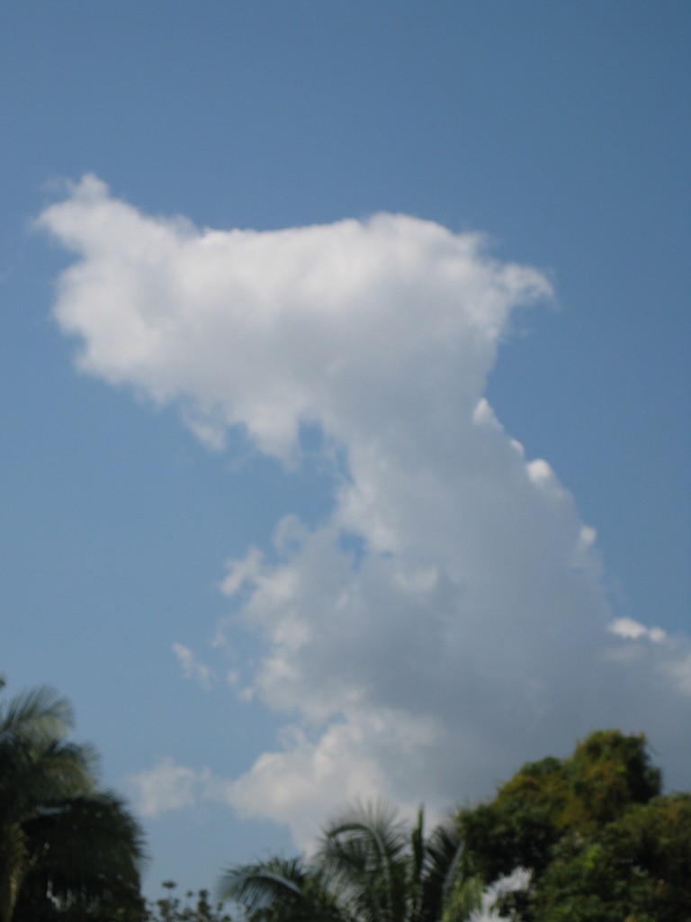 Foto de Tapachula (Chiapas), México