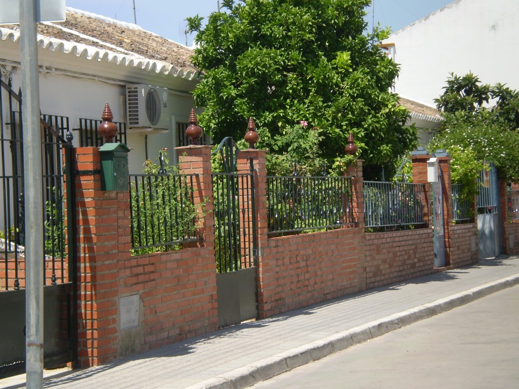 Foto: PELOCAQUI - Palma Del Rio (Córdoba), España