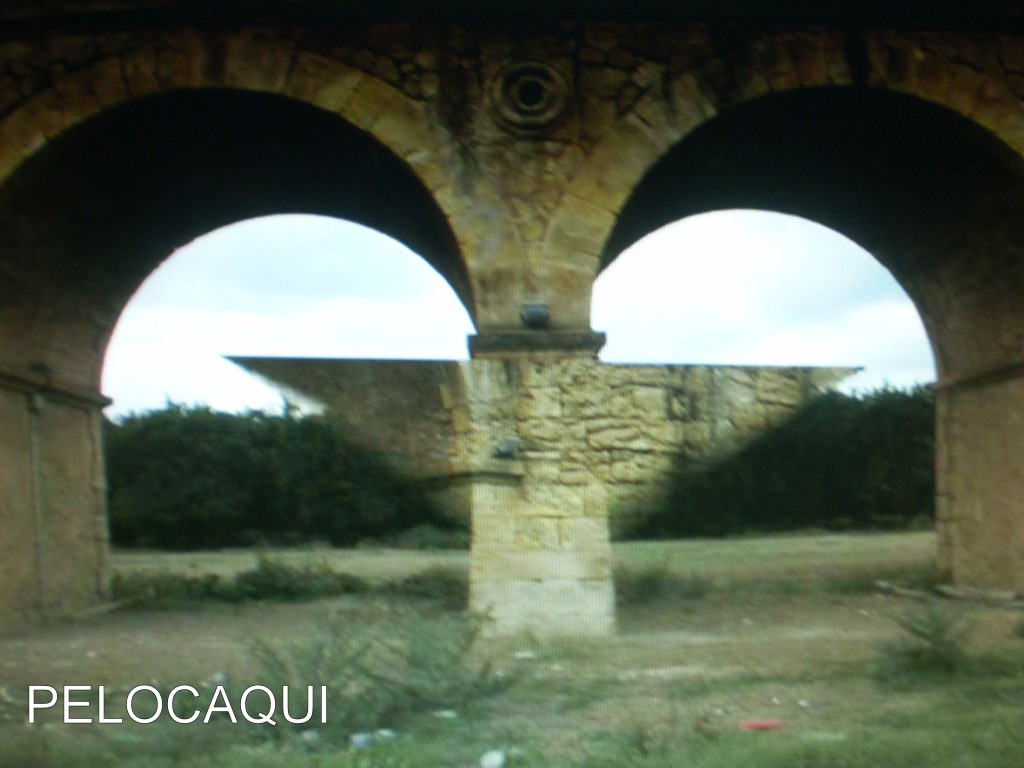 Foto: PELOCAQUI - Palma Del Rio (Córdoba), España