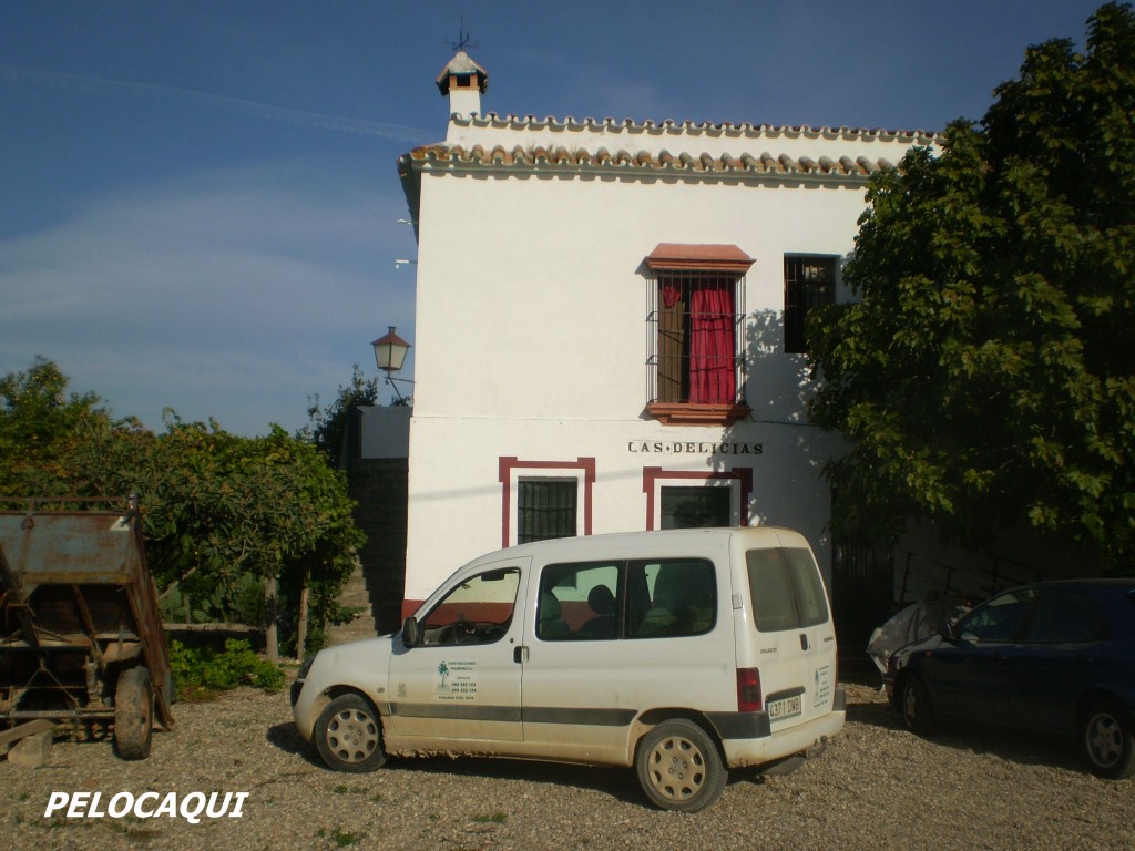 Foto: PELOCAQUI - Palma Del Rio (Córdoba), España