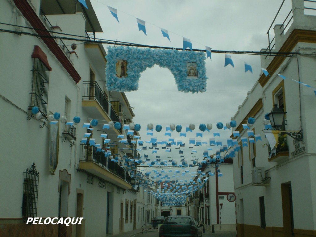 Foto: PELOCAQUI - Palma Del Rio (Córdoba), España